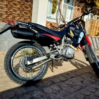 تریل درحد مزایده ای