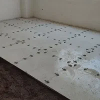 کاشیکار خرده کاری گچکار تعمیرات بازسازی لکه گیری|خدمات پیشه و مهارت|تهران, نیروی هوایی (پیروزی)|دیوار