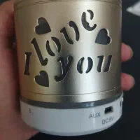 اسپیکر قابل حمل سالم