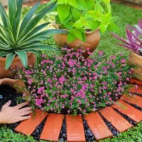 فضای سبز باغ باغچه ویلا