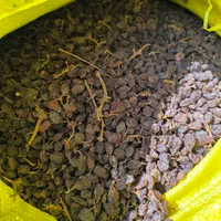 کشمش درگز کشمش آفتابی گردو کشمش تیزآبی کشمش