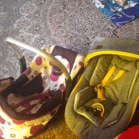 کریر زرد وطوسی