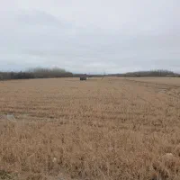 فروش زمین شالیزارانزلی ۱۱ هکتار ۶۶میلیارد تومن