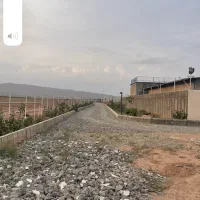 دامداری و باغ پسته|فروش دفتر صنعتی، کشاورزی، تجاری|ایوانکی, |دیوار