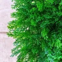 گرین وال مصنوعی کد ۲۰۲۶|گل مصنوعی|تهران, توحید|دیوار