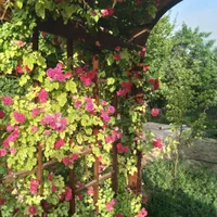 اجاره سالیانه باغ ویلا