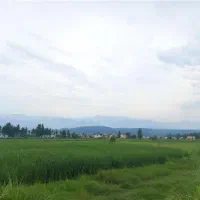 زمین 9300متر بر جاده اصلی بامجوزگلخانه توت فرنگی