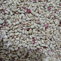 فروش لوبیا چیتی درجه یک|خوردنی و آشامیدنی|خان ببین, |دیوار