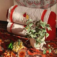 اجاره خانه ویلایی ۴۵ متری ۱ خوابه دروزجوادیه|اجارهٔ خانه و ویلا|تهران, تهرانپارس غربی|دیوار