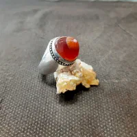 باباقوری سرخ