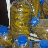 خیار شور تازه باسبزیجات