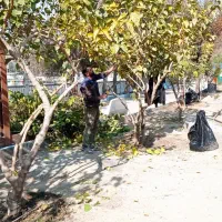 باغبان حرفه ای تضمینی با نازلترین قیمت