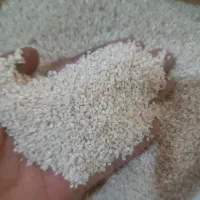 خورده برنج تمیز تمیز 30کیلو