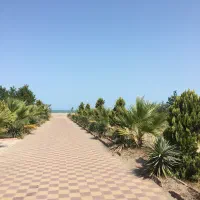استانبول آنتالیا ازمیر آنالیا کمک سفر
