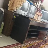 تلویزیون وجاتلویزیونی