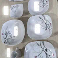 ظروف چینی