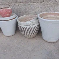 گلدان سایز بزرگ