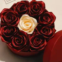 گل روبانی|گل مصنوعی|رامهرمز, |دیوار