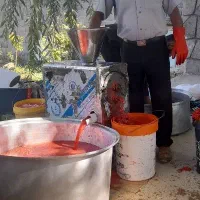 آب گوجه گیری برای رب و ترشی