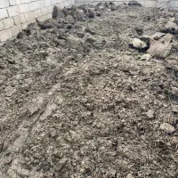 پهن گوسفندی|خدمات باغبانی و درختکاری|بکتاش, |دیوار