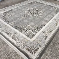 طوسی فیلی