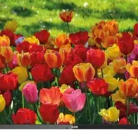 تلویزیون سامسونگ رنگی