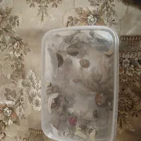 حلزون تراپی پوست