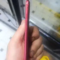 ایفون se2020|موبایل|قم, هفت تیر|دیوار