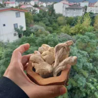 ادویه جات و خشکبار جانساقی|عمده‌فروشی|رامسر, |دیوار