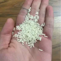 برنج درجه یک هاشمی گیلان فوری