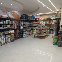 دامپزشکی و پت شاپ نیاوت