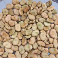 باقله ارگارنیک به شرط