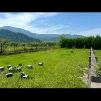 فروش زمین شهرکی سند تک برگ مشاع کاربری مسکونی|فروش زمین و ملک کلنگی|سلمانشهر, |دیوار