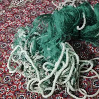 تور ماهیگیری