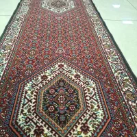 یک عدد فرش ۱۲ متری و۲ عدد ۶ متری و کناره طرح افشار|فرش|زنجان, |دیوار