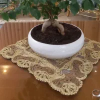 گلدان سفالی