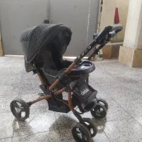 کالسکه و کریر بنیتا دلیجان