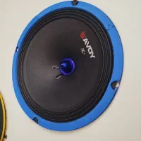 پک کامل میدرنج|قطعات یدکی و لوازم جانبی|تبریز, |دیوار