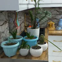 هم خونه خانم