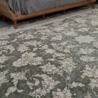 فروش فرش و پشتی|فرش|سقز, |دیوار