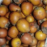 کندوز جنگ