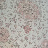 دوتا فرش 12متری|فرش|پرند, فاز ۵|دیوار