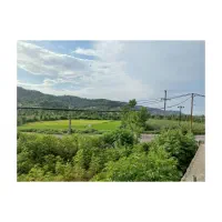 زمین ۲۷۰ متر واقع در لوندویل