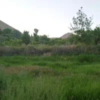 باغ سر سبز در حسین اباد قمصر5 ساعت اب|فروش زمین و ملک کلنگی|قمصر, |دیوار