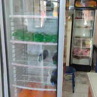 2عددیخچال تک درب