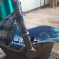 کریر دلیجان|کالسکه و لوازم جانبی|تهران, طرشت|دیوار