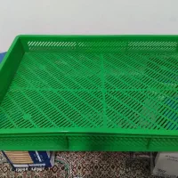 سبد سبزنو نو