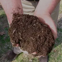 کودحیوانی مناسب باغ وباغچه