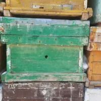 کندو زنبور عسل