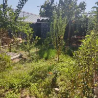 مجموعه باغی 700متر